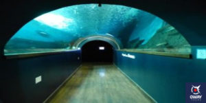 Corridor of the Seville aquarium