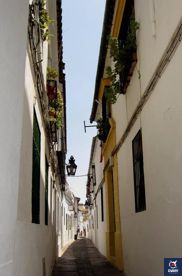 Calle Averroes