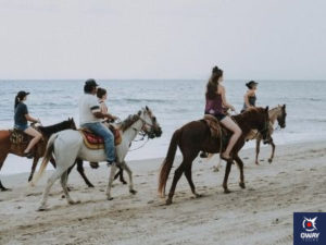 Un grupo de personas paseando a caballo por la playa en Granada