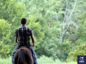 Un jinete de espaldas paseando por el bosque con su caballo en Granada