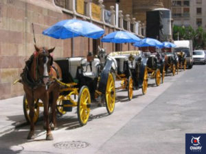 ¿Dónde puedes tomar un carruaje de caballos en Málaga?