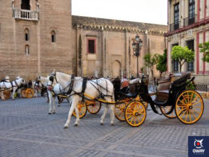 Coche de caballos frente a la Catedral (Sevilla))