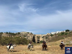 Promenade à cheval à Ronda