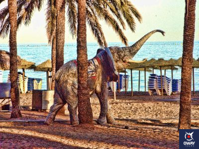 Elefante en la Playa de Marbella