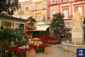 Plaza de las Flores Cádiz