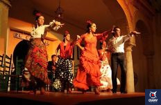 In the flamenco tablao El Cardenal you will be surrounded by the flamenco art of the 9 professional artists who will be in charge of the show.
