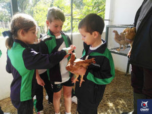 Viaje escolar a una granja escuela diferente en Cádiz