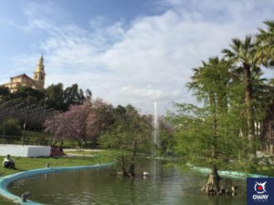 Photo of the botanical park