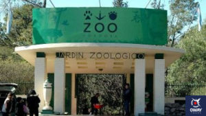 Le zoo de Cordoue