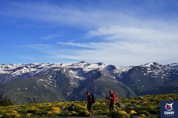 Les meilleurs itinéraires de randonnée de Grenade
