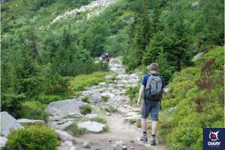 Itinéraires de randonnée à Ronda