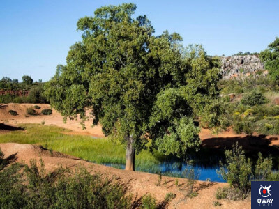 Sierra Norte de Sevilla