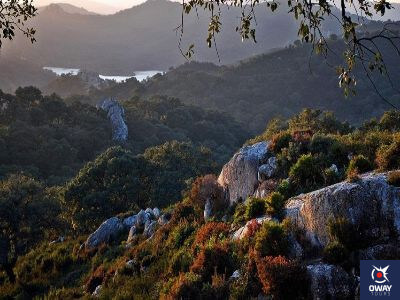 Parque Natural de los Alcornocales