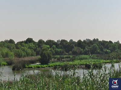 Parque Natural de Doñana