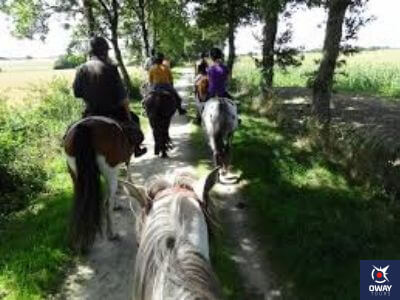 Varias personas paseando a caballo por el campo en Granada