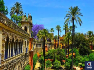 The Royal Alcazars (Seville)