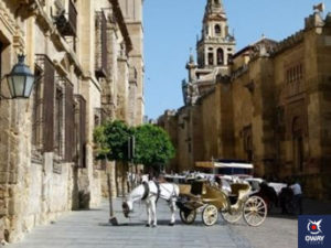 Where can you take a horse-drawn carriage in Cordoba?
