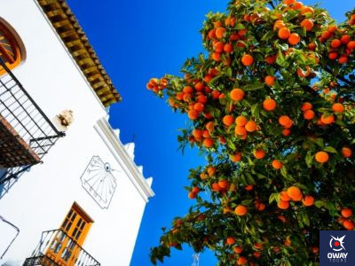 Casco Histórico Marbella