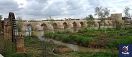 One of the eleven mills that can be found in Cordoba. 