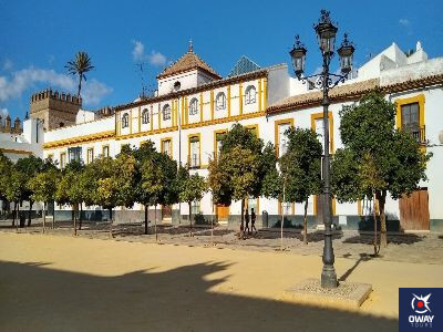 Vista naranjos Patio de las Banderas Sevilla