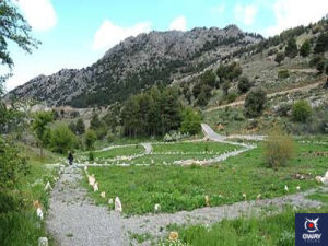 School activity in Sierra Nevada in Granada, where you can learn about all its botanical activity.