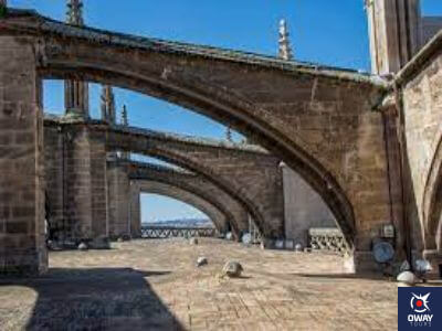 Cubiertas Catedral Sevilla