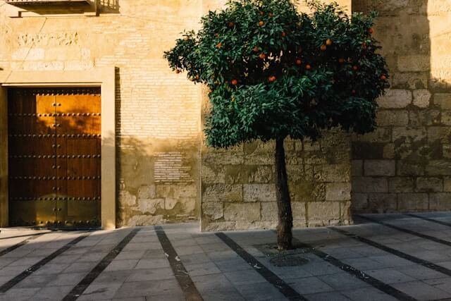 que visitar en el centro de sevilla