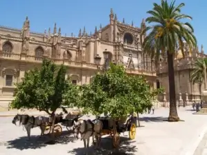 Free Tour Sevilla