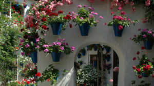 Patios-de-Cordoba-4 (1)