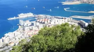 Excursion-a-Gibraltar-desde-Malaga-14 (1)