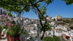 Excursion-a-Ronda-y-Setenil-desde-Malaga-15 (1)