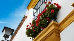 Excursion-a-Sevilla-desde-Malaga-16 (1)