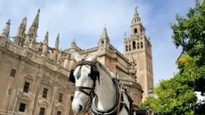 Excursion-a-Sevilla-desde-Malaga-28 (1)
