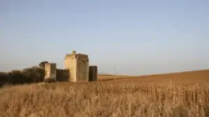 Excursión a los pueblos blancos y Ronda desde Sevilla