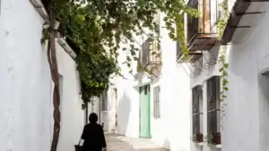 Excursion-a-los-pueblos-blancos-y-Ronda-desde-Sevilla-10 (1)