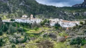 Excursion-a-los-pueblos-blancos-y-Ronda-desde-Sevilla-8 (1)