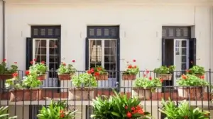 Excursiones-a-Tanger-desde-Tarifa-25 (1)