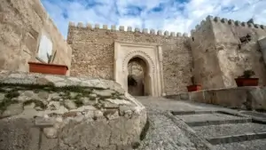 Excursiones-a-Tanger-desde-Tarifa-38 (1)