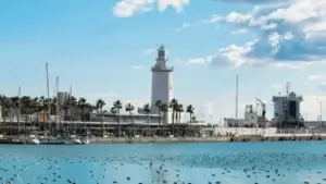 Paseos-y-excursiones-en-catamaran-Malaga-9 (1)