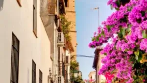 Albaicín y Sacromonte