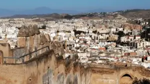 Free-Tour-Malaga-14 (1)