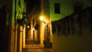 Free-Tour-Nocturno-Granada-Sl-3 (1)